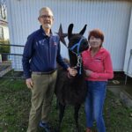 [dir-first sanitize=1]